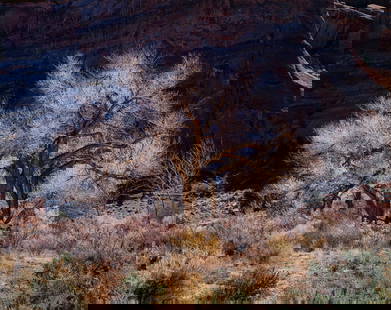 Christopher Burkett Cottonwood and Light, Utah, 1987: Christopher Burkett (American, b. 1951) Cottonwood and Light, Utah, 1987 Cibachrome print 18.25 x 23 (in) 31.25 x 35.25 x 1.25 (in) Framed Signed in pencil Christopher Burkett, lower right of mat Prov