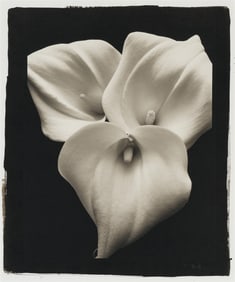 Kenro Izu Still Life #189, 1992, printed 1995
