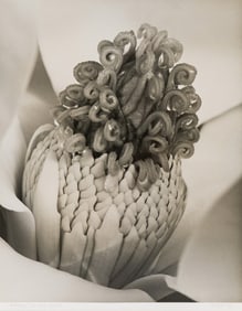 Roi Partridge Honey in the Heart, 1935
