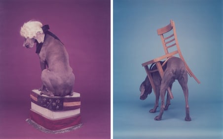 William Wegman (2) Ross & Saddled, 1990-1