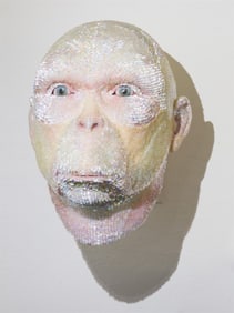 Lindsay Pichaske Darwin's Muse