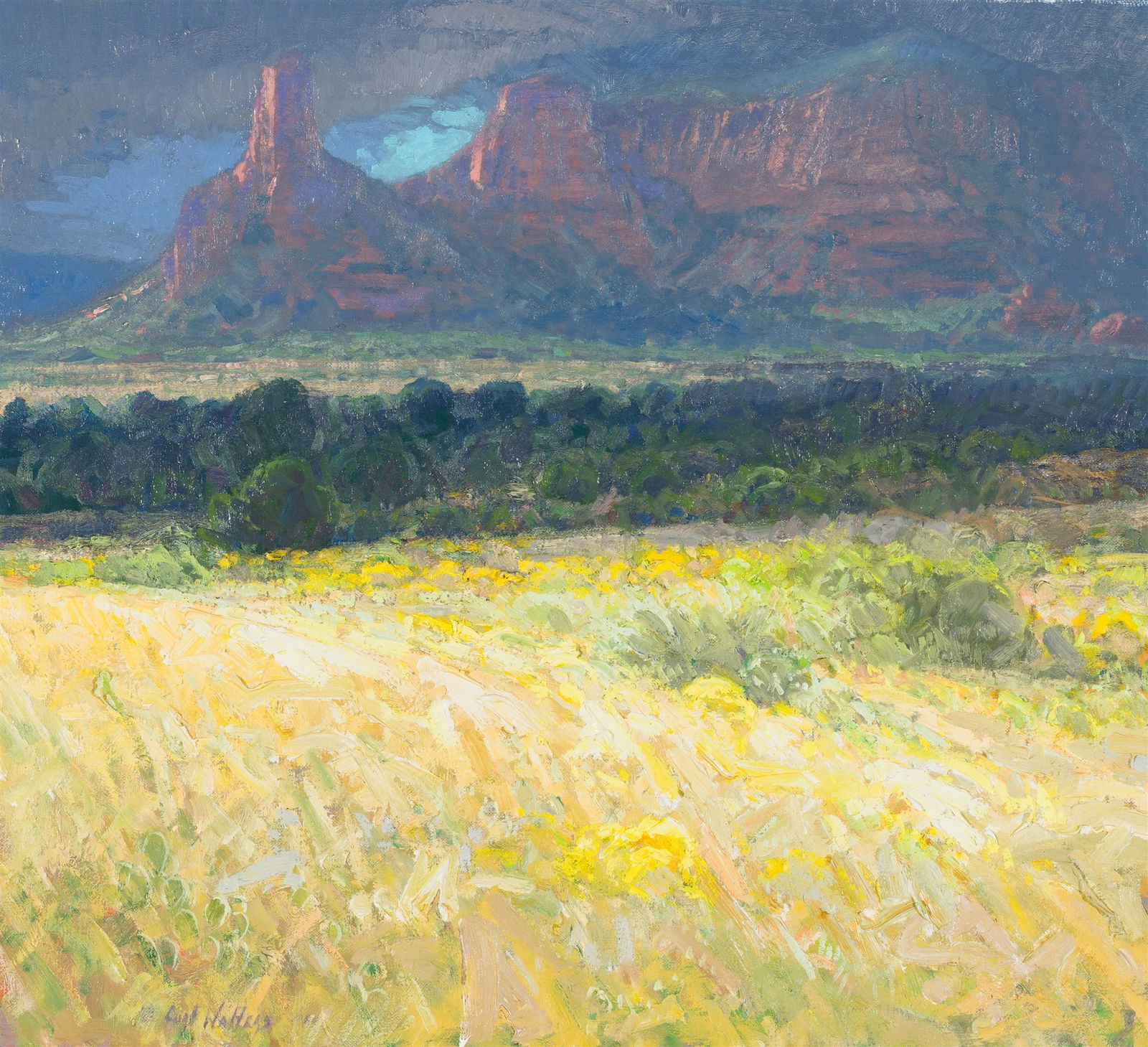 Curt Walters Sedona Storm (1 of 5)