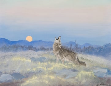 Bill Freeman Coyote, 1959