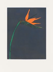 Fritz Scholder Flower at Barcelona, 1982