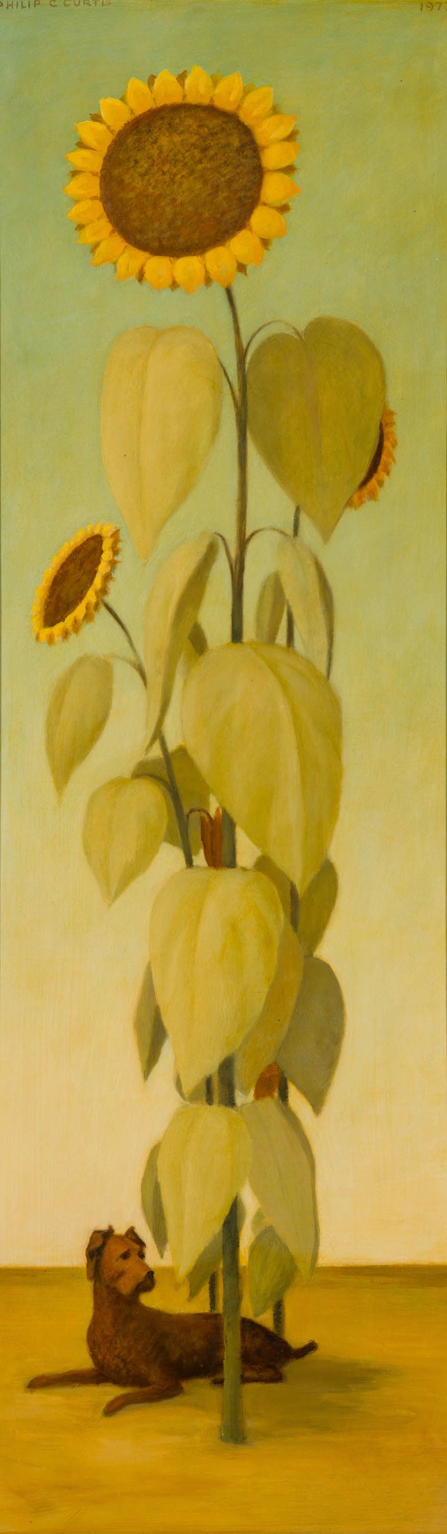 Philip Campbell Curtis Sunflower with Dog, 1977: Philip Campbell Curtis (American, 1907-2000) Sunflower with Dog, 1977 Oil on panel 38 x 12 (in) 40 x 13.75 x 1.5 (in) framed Signed Philip C. Curtis, upper left $9,000 - $12,000 Dated, upper right.