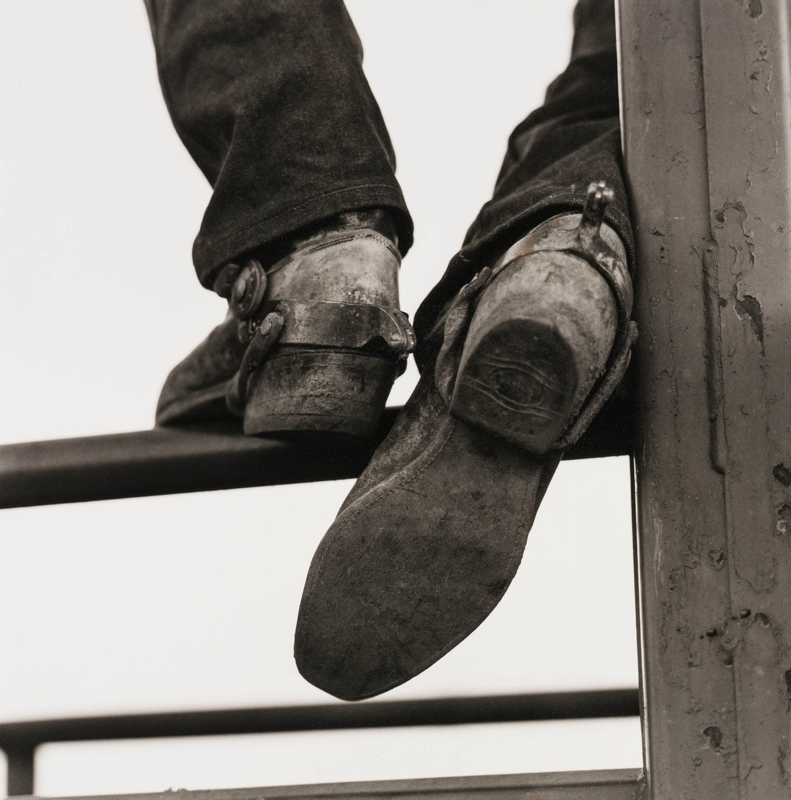 Wouter Deruytter Ennis (Boots), 1998 printed later: Wouter Deruytter (Belgian, b. 1967) Ennis (Boots), 1998 printed later Gelatin silver print on board 34.25 x 34 (in) 39.75 x 39.5 x 0.75 (in) framed Unsigned $1,000 - $2,000 From the series "Cowboy Cod