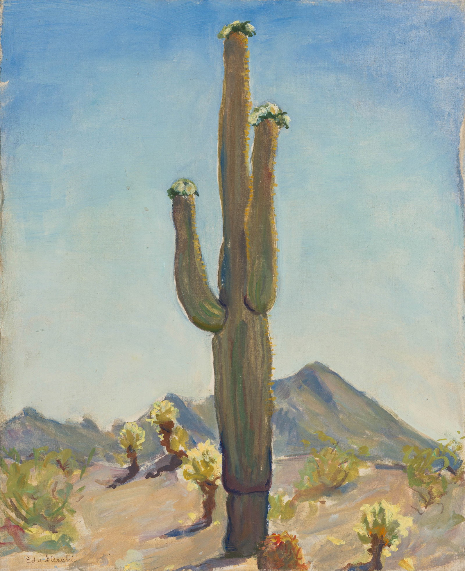 Eda Sterchi Sahuaro in Bloom: Eda Sterchi (American, 1885-1969) Sahuaro in Bloom Oil and pencil on canvas mounted on board 18 x 15 (in) Signed in pen Eda Sterchi, lower left $500 - $1,000 Signed and titled in pen, verso.