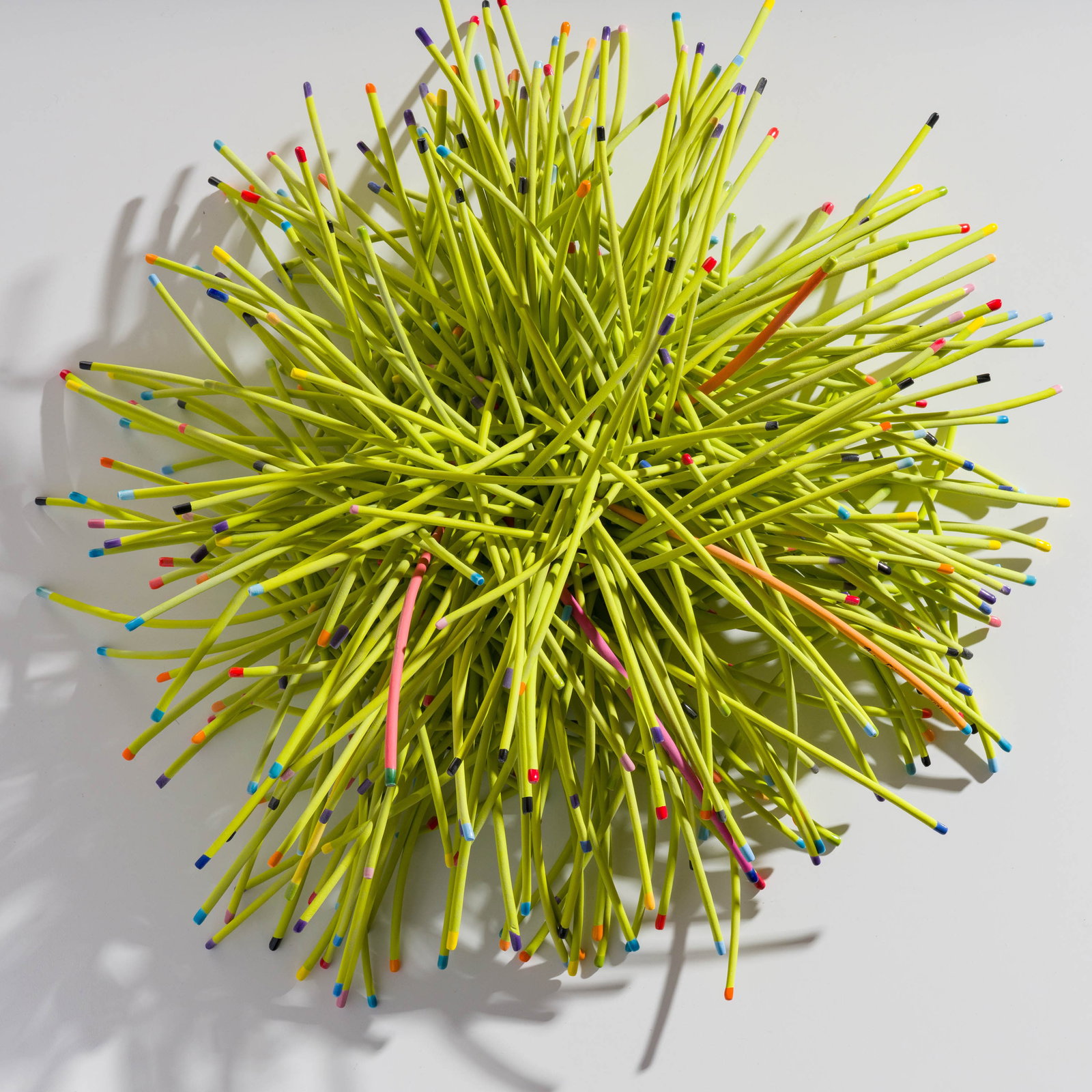 Bean Finneran Green Sprouts, 2006 (1 of 2)