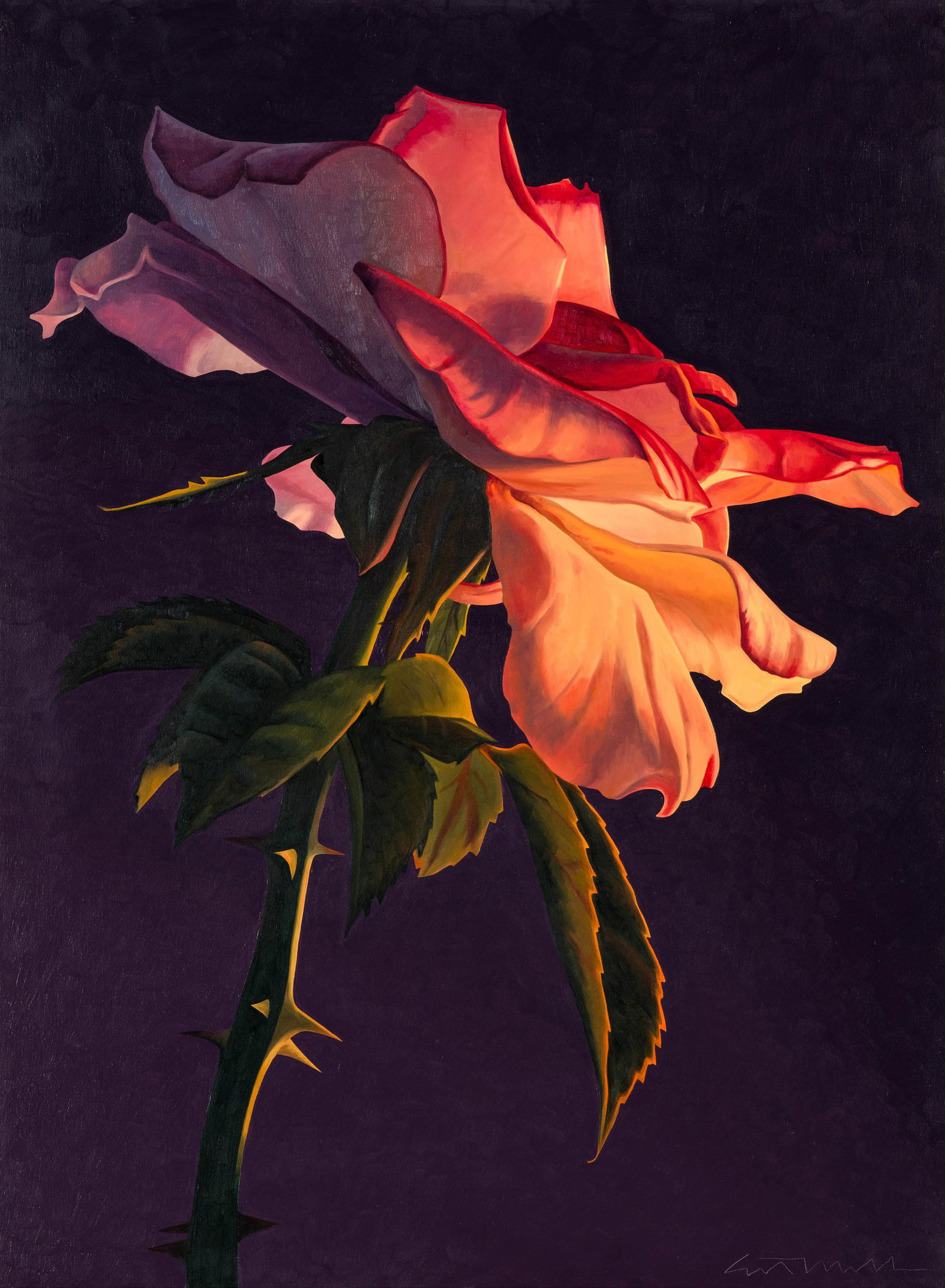 Ed Mell Victorian Rose, 1998 (1 of 3)