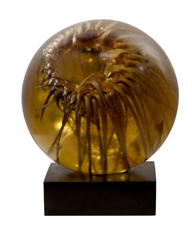Mayme Kratz, Untitled Sphere (clear): Mayme Kratz (American, b. 1958) Untitled Sphere (clear) Resin 9 in x 9 in Unsigned