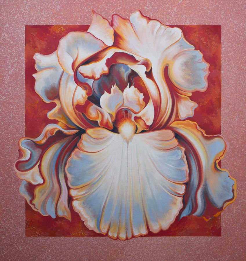 Lowell Nesbitt  'Apricot Iris' (1 of 1)