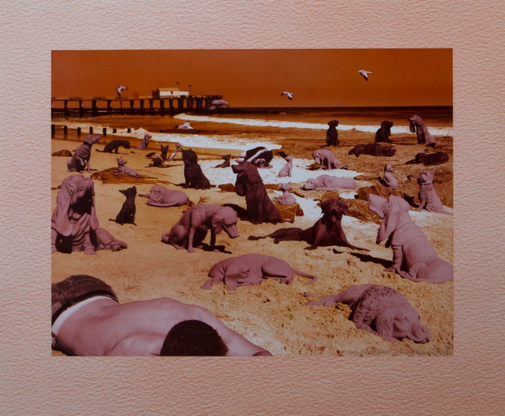 Sandy Skoglund  'Dogs on the Beach' (1 of 1)