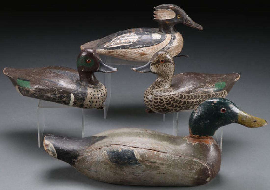 FOUR CARVED AND PAINTED DUCK DECOYS: FOUR CARVED AND PAINTED DUCK DECOYS, CIRCA 1900-1920. Various breeds including a large mallard drake with glass eyes, plus two smaller ducks with glass eyes, in-set lead weights, and deeply carved ini
