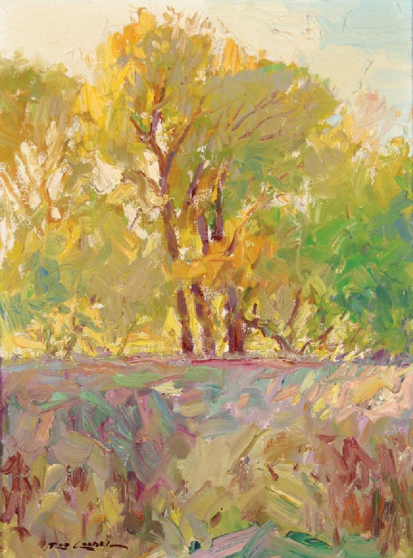 3 SOUTHWEST LANDSCAPES BY ROD GOEBEL: A GROUP OF THREE SOUTHWEST LANDSCAPES BY ROD GOEBEL (American 1946-1993). Comprised of Sun Dapples, 1976, oil on canvasboard, signed lower left and dated and titled on verso, 12 inches x 9 inches. Tog