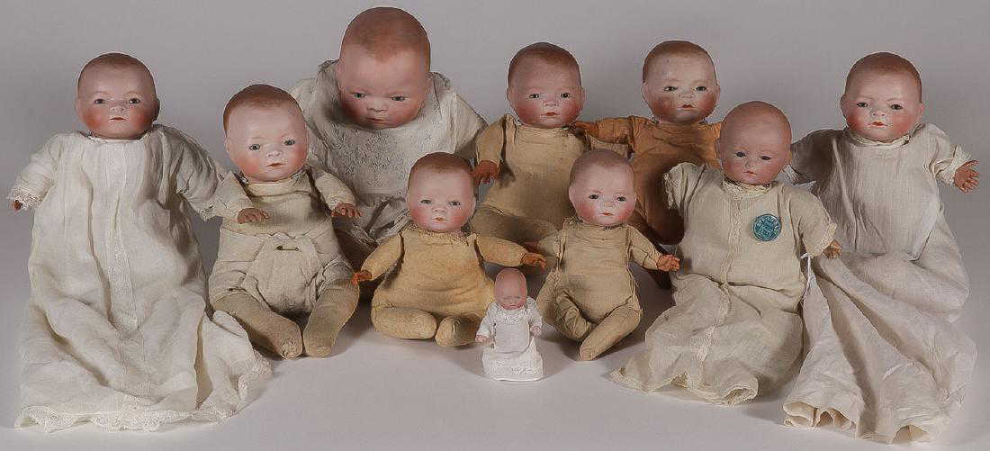 TEN BISQUE HEAD BYE-LO BABY DOLLS