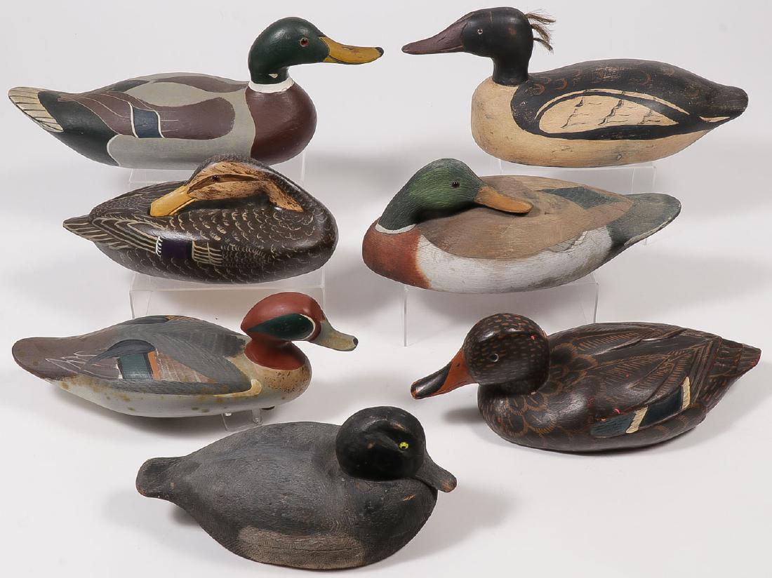 A GROUP OF SEVEN CARVED WOOD DUCK DECOYS: A GROUP OF SEVEN CARVED WOOD DUCK DECOYS. Comprising different species, configurations and quality of carving. Most would appear to be from the last quarter of the 20th century. Greatest length 17 inc