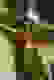 item-5445906=3