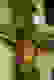 item-5445906=4