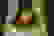 item-5445906=5
