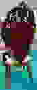 item-85614977=2
