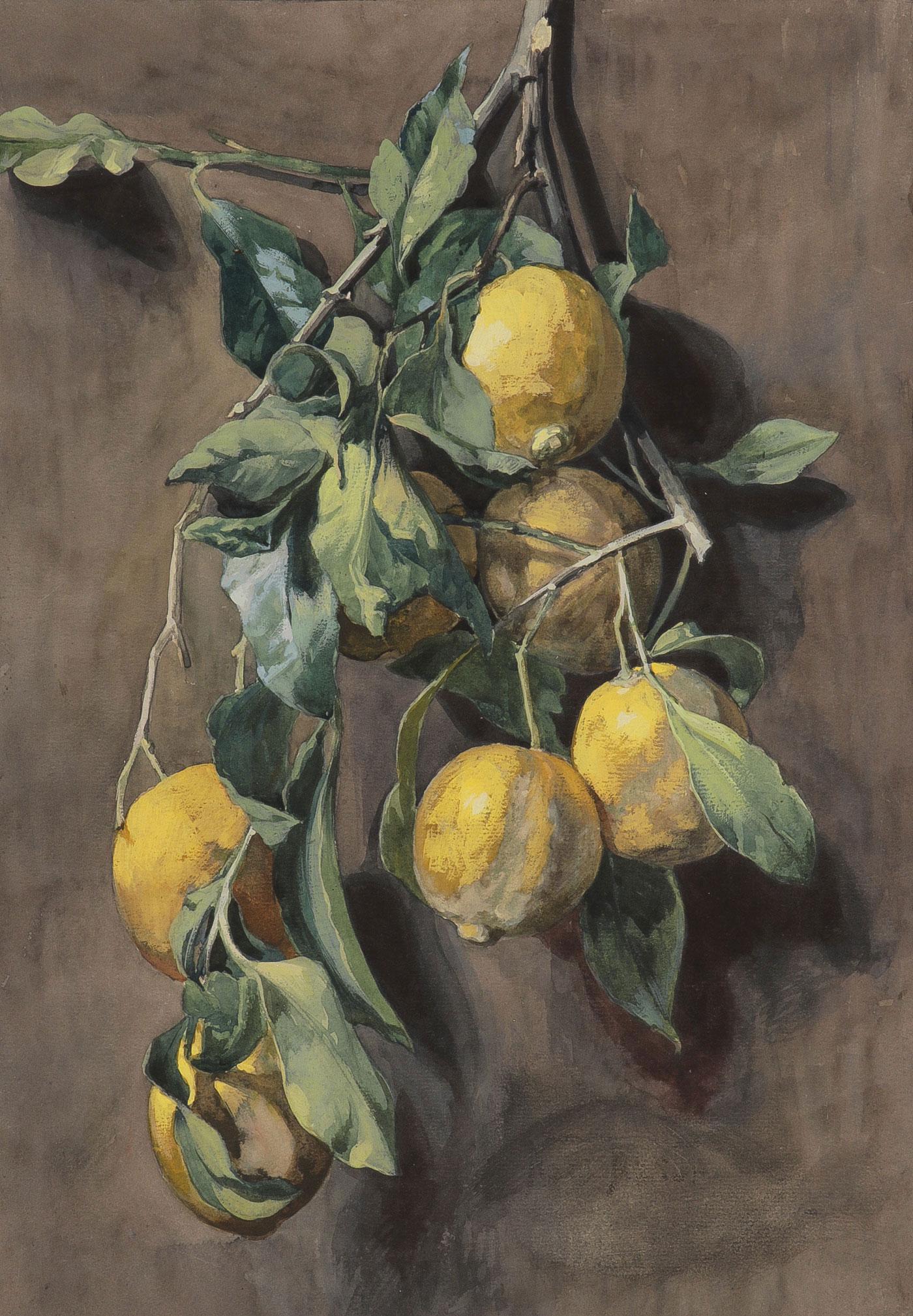 VINTAGE WATERCOLORS: VINTAGE WATERCOLORS. Comprising eight individual works on paper including six watercolors featuring a finely painted still life of lemons, indistinguishably signed lower right, 16.25 inches x 11.25 in