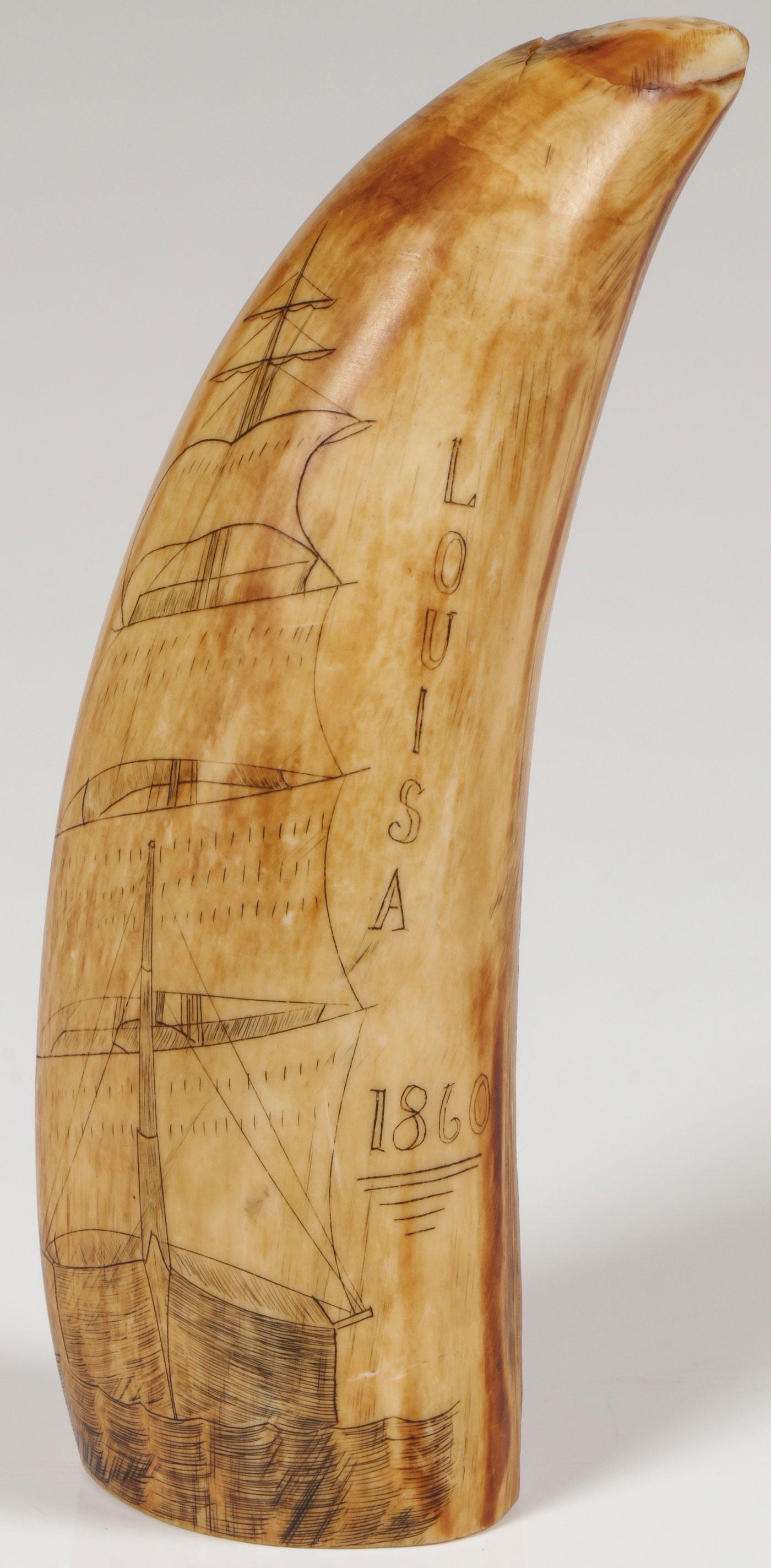 SCRIMSHAW WHALE'S TOOTH: SCRIMSHAW WHALE'S TOOTH. The slightly curving tooth with polished surface, scrimshawed with whaling ship, the name LOUISA, and the date 1860. Height 4.5 inches. SHIPPING NOTICE: Jackson's