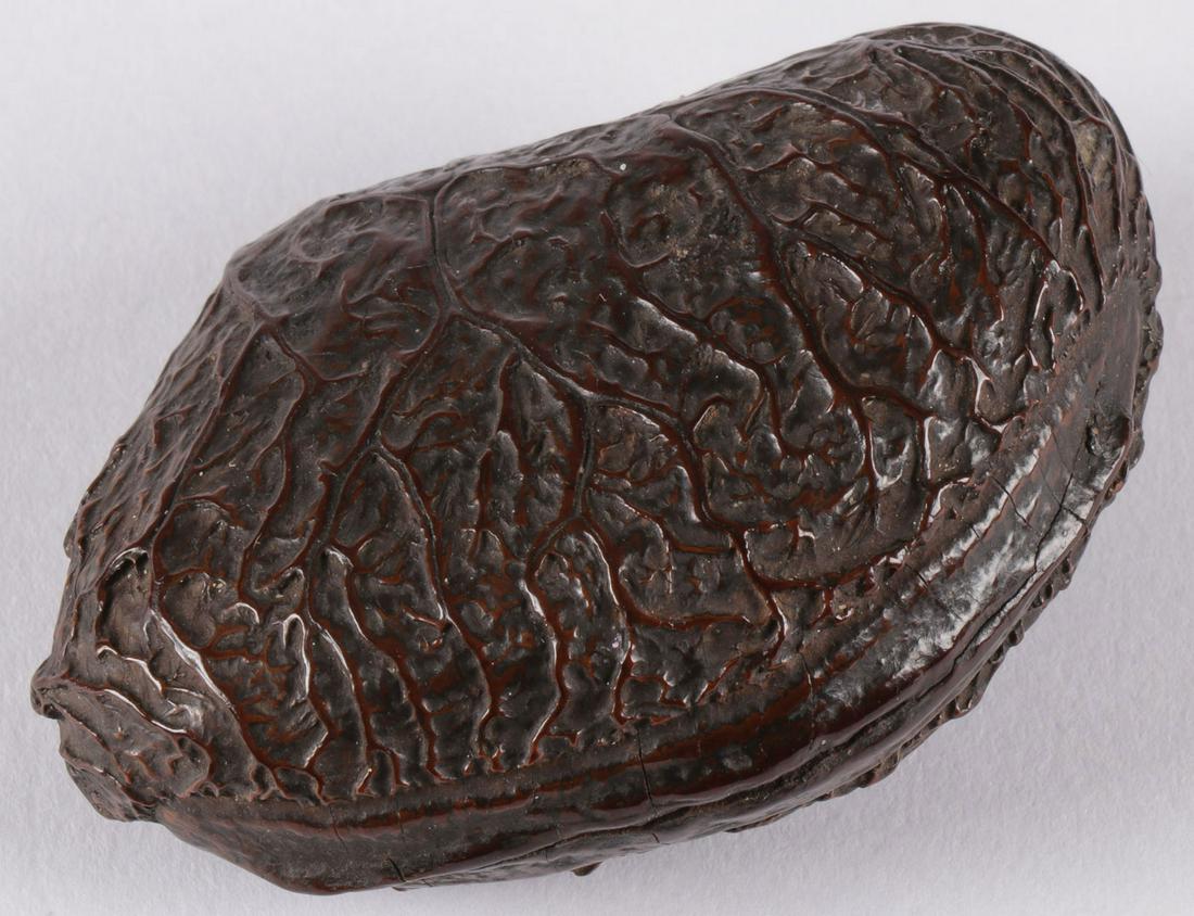 A CARVED JAPANESE NETSUKE, MEIJI: A CARVED JAPANESE NETSUKE, MEIJI. Finely carved as a seed pod(?), the surface covered with organic veining. The material apparently wood, or some other organic material. Length 2.5 inches (6.5 cm). SH
