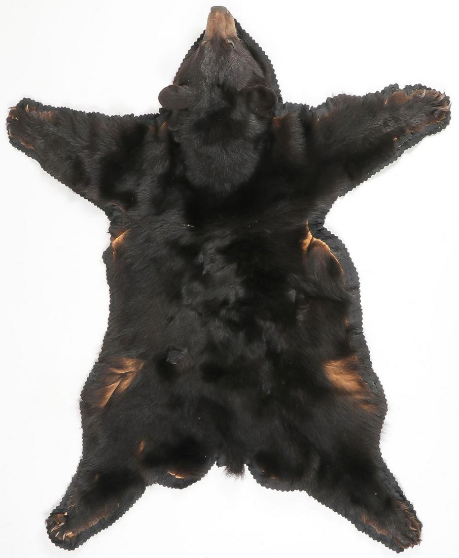 A BLACK BEAR TAXIDERMY RUG: A BLACK BEAR TAXIDERMY RUG. A full body bear rug mount. 60 inches x 40 inches. SHIPPING NOTICE: Jackson's is your sole and only source for one stop packing and shipping. With over 50 years of experie