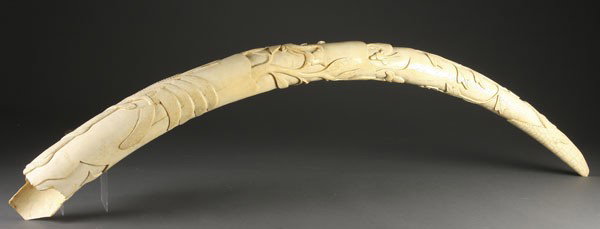 CARVED IVORY ELEPHANT TUSK: A CARVED IVORY ELEPHANT TUSK, probably African (damaged), length 65 inches. Weight 28 pounds.