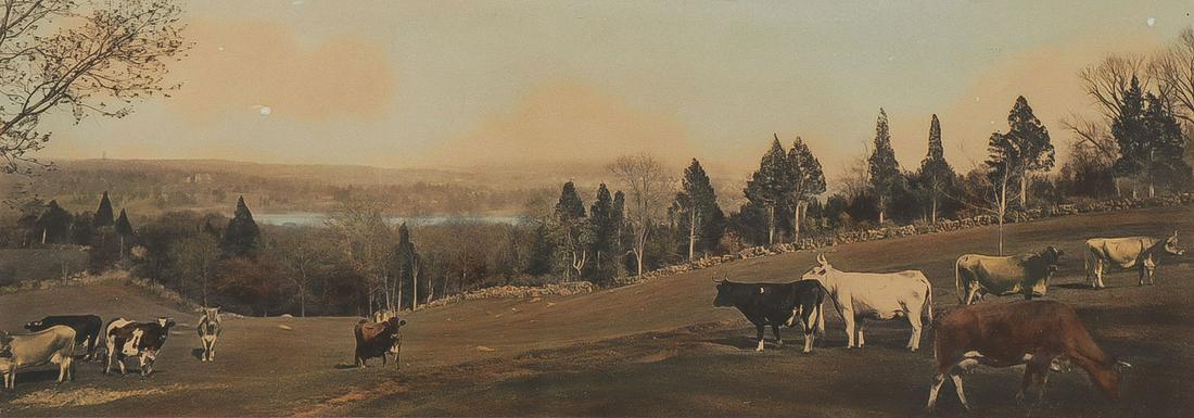 THREE WALLACE NUTTING TINTED PHOTOS: THREE WALLACE NUTTING TINTED PHOTOS. Greatest image size 5 x 13 inches. Greatest overall size 13 x 21 inches.SHIPPING NOTICE:Jackson's is your sole and only source for one stop packing and shipping.