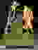 item-11542882=2
