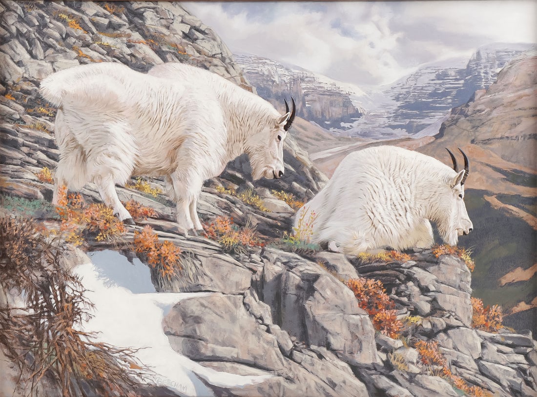 TOM BEECHAM ORIGINAL WILDLIFE OIL ON CANVAS: TOM BEECHAM (American 1926 - 2000) Mountain Goats Oil on board Signed lower left 21 inches x 28 inches Commentary: Lot accompanied by an original graphite study for the painting titled lower