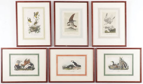 SIX BOWEN AUDUBON OCTAVO COLORED PLATES