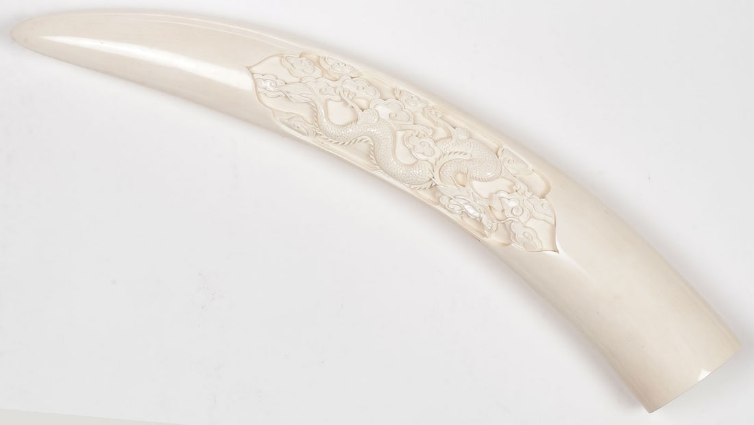 FINELY CARVED CHINESE TUSK, CIRCA 1920: FINELY CARVED CHINESE TUSK, CIRCA 1920. In the natural form, with finely carved Chinese dragon flying amongst stylized clouds within the central cartouche, length 18.5 inches (47 cm). NO INTERNATIONAL