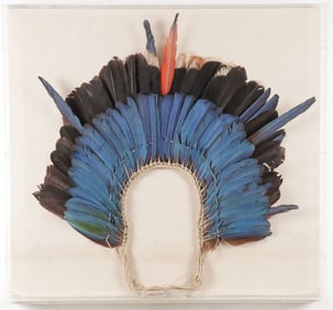 AMAZON KAYAPO MACAW FEATHER HEADDRESS