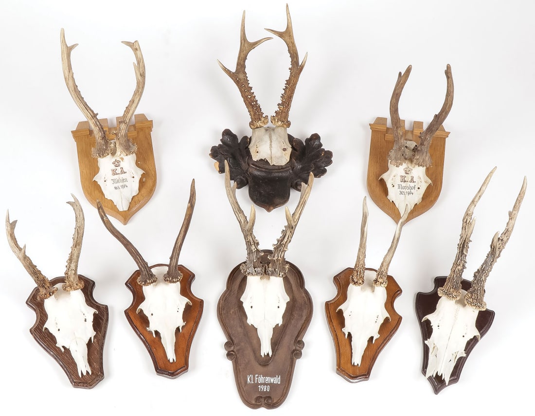 EIGHT GERMAN ROE DEER MOUNTS (1 of 1)
