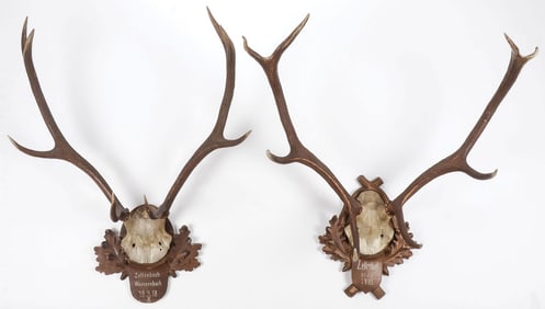 PAIR OF VINTAGE GERMAN RED DEER ANTLER MOUNTS
