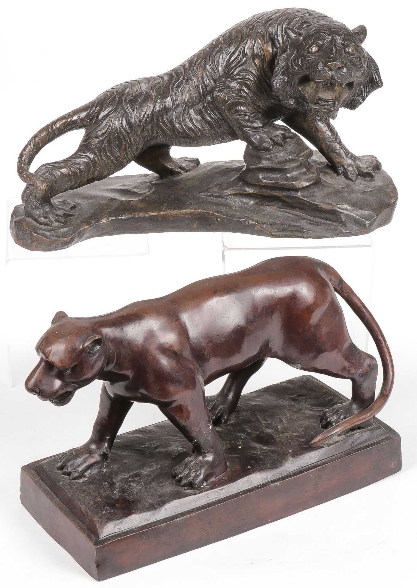 PR OF ASIAN BRONZE TIGERS (1 of 3)