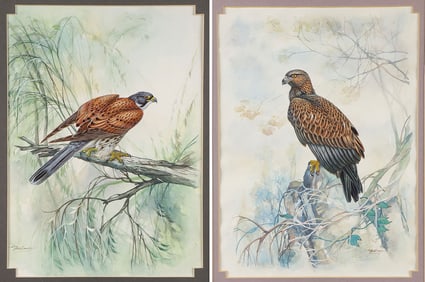 FINELY PAINTED SIGNED WATERCOLORS