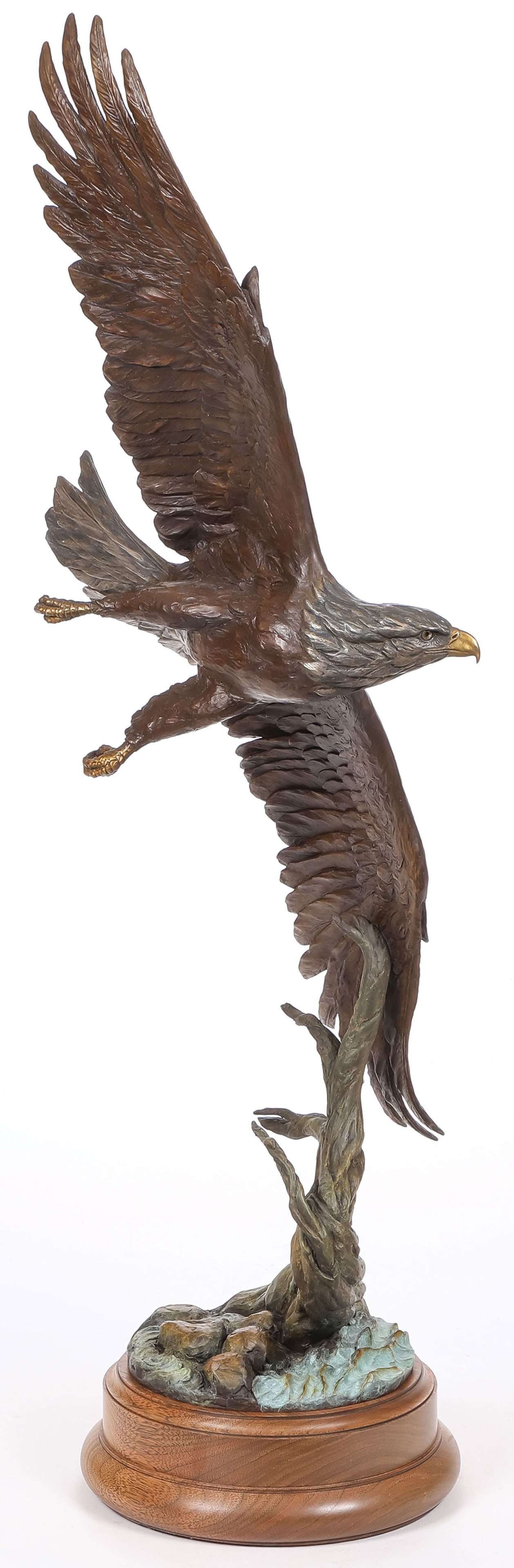 GREAT EUGENE MORELLI BRONZE EAGLE: Eugene Morelli (American b. 1956-) Eagle in Flight Bronze with polychrome patina on walnut base Signed Morelli and editioned 24/36 Overall height on stand 31.25 inches SHIPPING NOTICE: If you are not