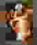 item-37198365=2