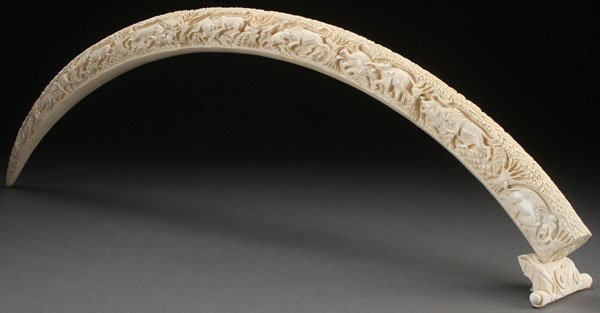 ORIENTAL SCENIC CARVED IVORY TUSK, CIRCA 1950: A LARGE ORIENTAL SCENIC CARVED IVORY TUSK, CIRCA 1950. Fully carved in the round with a conforming scene of clashing wild animals including lions, elephants, water buffalo, boars and other species ben