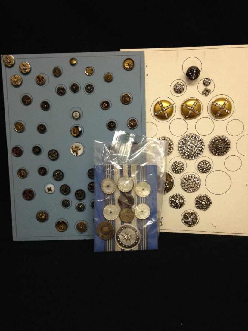 Lot Of Insect And Formal Design Buttons On 3 Cards: Lot Of Insect And Formal Design Buttons On 3 Cards