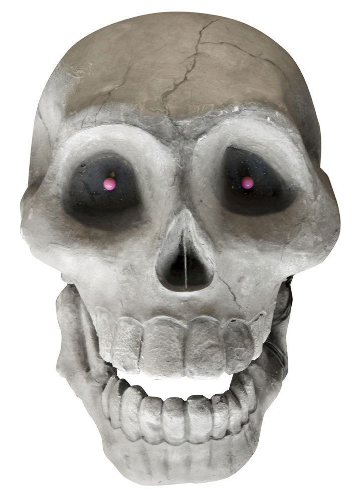 Large Skull from Tim Burton's Ed Wood: Large Set Dressing Skull from Tim Burton's Ed Wood. (Touchstone Pictures, 1994), as seen on screen in the dark ride scene where Edward D. Wood Jr. (played by Johnny Depp) rides with his future wife Ca