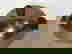 item-732446=2