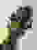 item-51986819=2