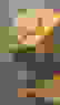 item-52119017=2