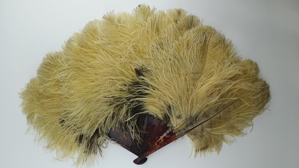 Antique Tortoise Shell & Ostrich Feather Hand Fan: Open is measures approx 22" wide, and 13" Tall, Great Old Piece!!!