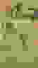 item-37008905=2