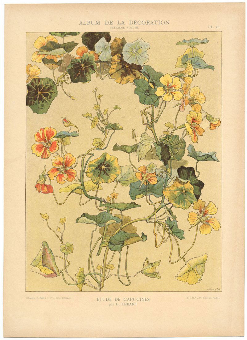 ETUDE DE CAPUCINES Art Nouveau French antique print: G. Lebart. Antique lithograph, c. 1900. 10.5" x 14.5" Artwork sold by the well-respected Century Guild gallery in Los Angeles, established 1999. All artworks guaranteed authentic and come with receipt